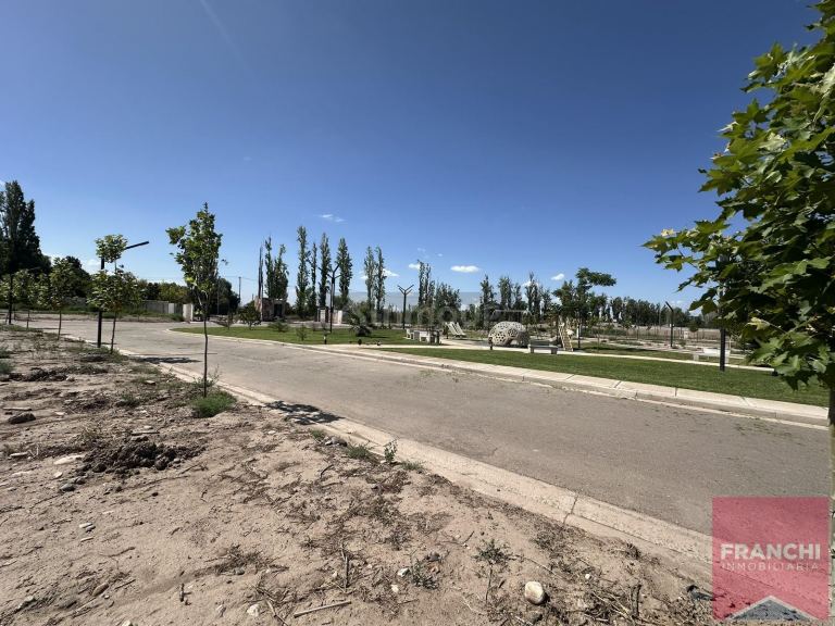Terreno en Venta en Lujan de Cuyo, Mendoza