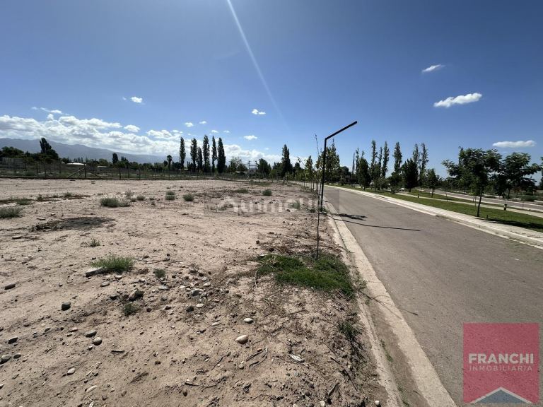 Terreno en Venta en Lujan de Cuyo, Mendoza