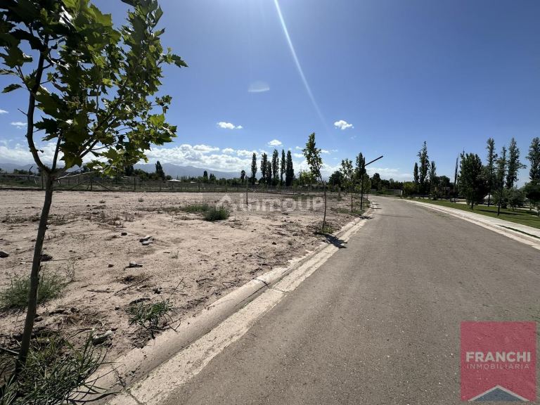 Terreno en Venta en Lujan de Cuyo, Mendoza