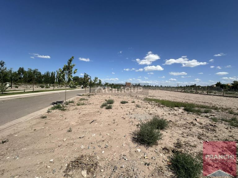 Terreno en Venta en Lujan de Cuyo, Mendoza