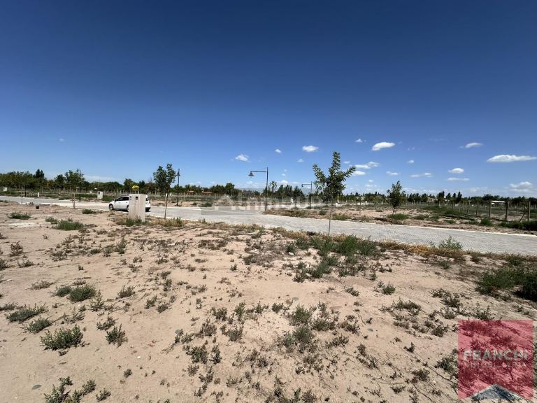 Terreno en Venta en Lujan de Cuyo, Mendoza