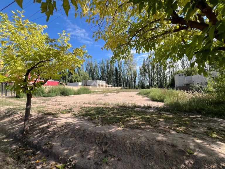 Terreno en Venta en Lujan de Cuyo, Mendoza