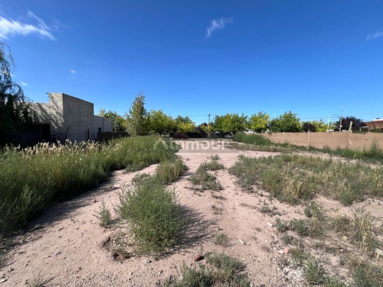 Terreno en Venta en Lujan de Cuyo, Mendoza