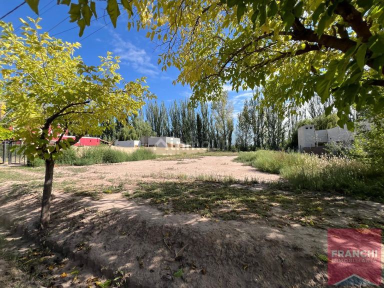 Terreno en Venta en Lujan de Cuyo, Mendoza