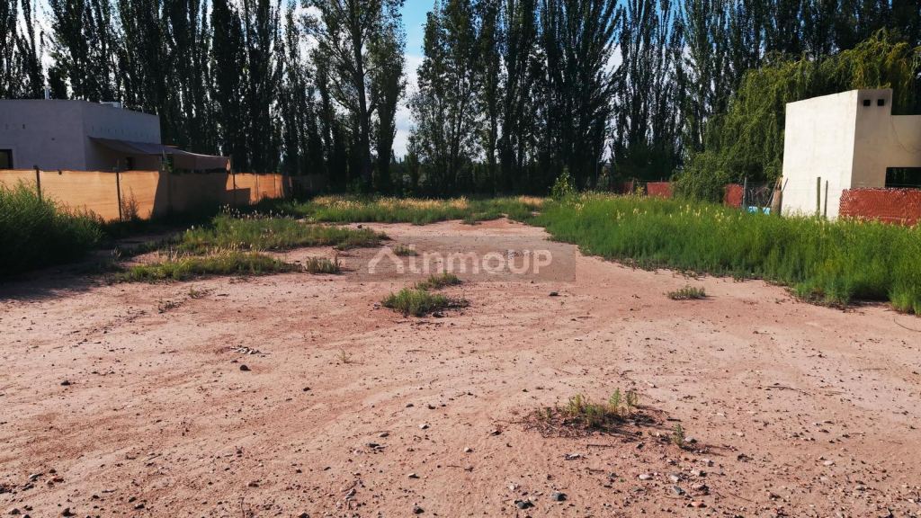 Terreno en Venta en Lujan de Cuyo, Mendoza