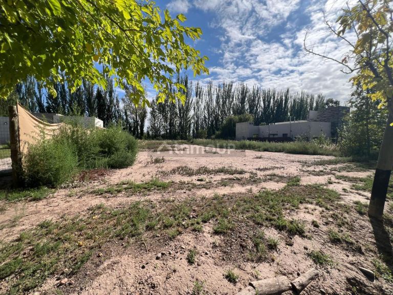 Terreno en Venta en Lujan de Cuyo, Mendoza
