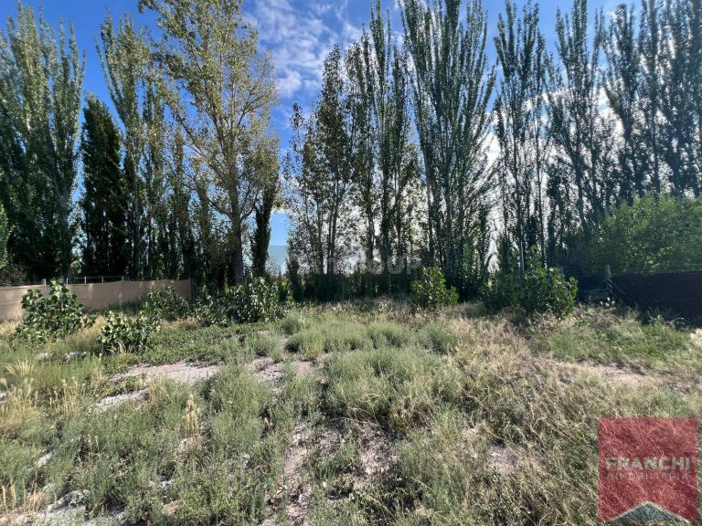 Terreno en Venta en Lujan de Cuyo, Mendoza