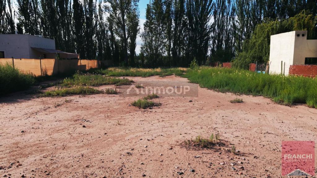 Terreno en Venta en Lujan de Cuyo, Mendoza