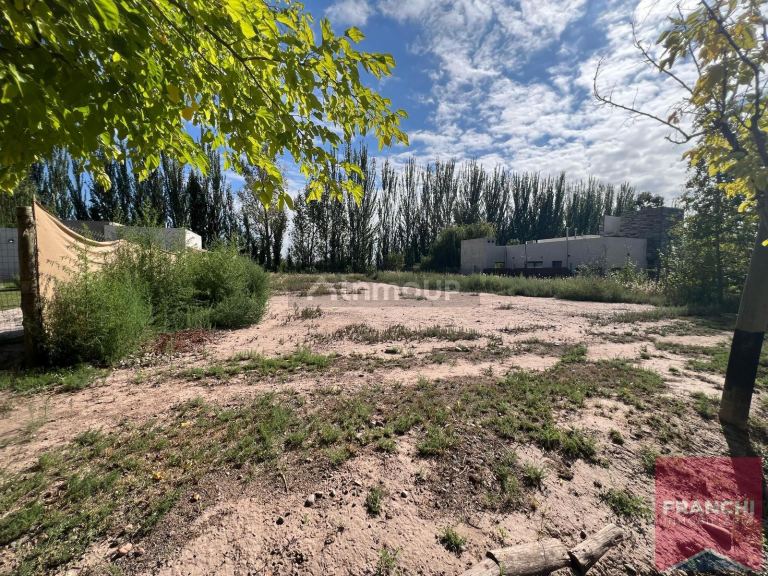 Terreno en Venta en Lujan de Cuyo, Mendoza