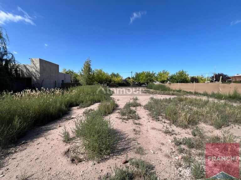 Terreno en Venta en Lujan de Cuyo, Mendoza