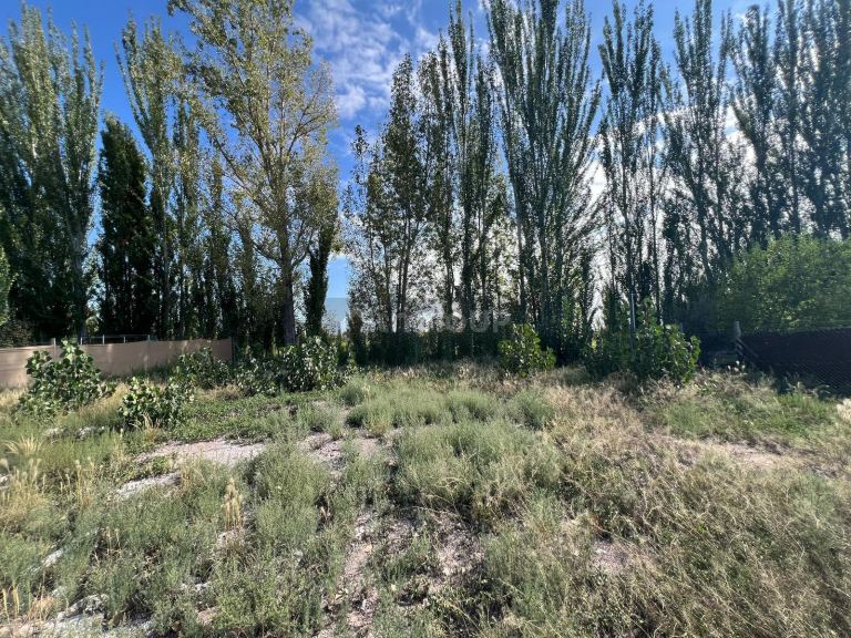 Terreno en Venta en Lujan de Cuyo, Mendoza