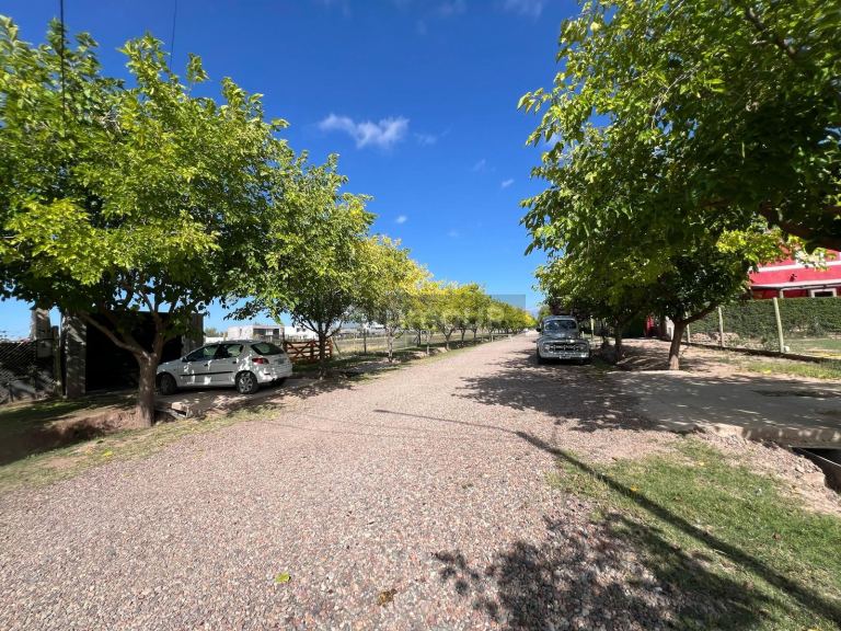 Terreno en Venta en Lujan de Cuyo, Mendoza