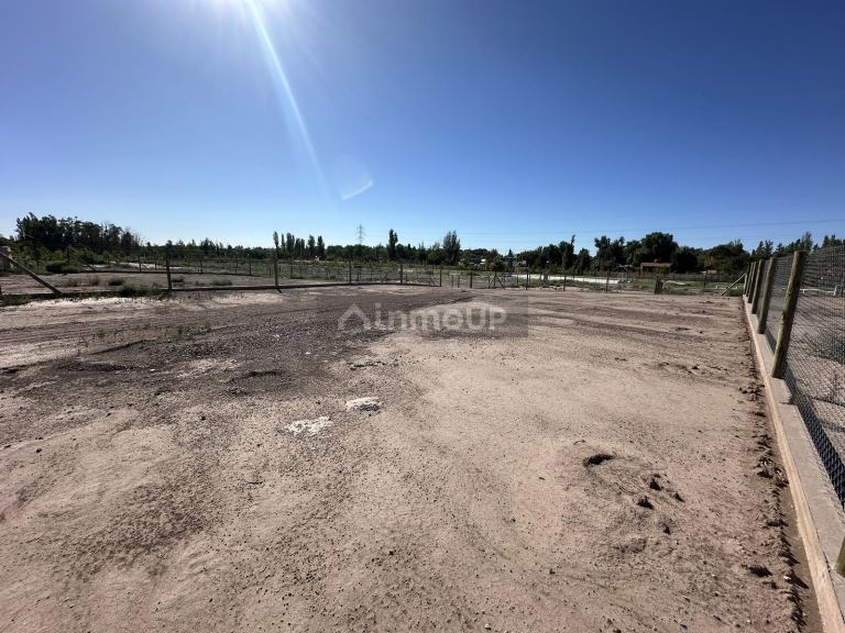 Terreno en Venta en Lujan de Cuyo, Mendoza