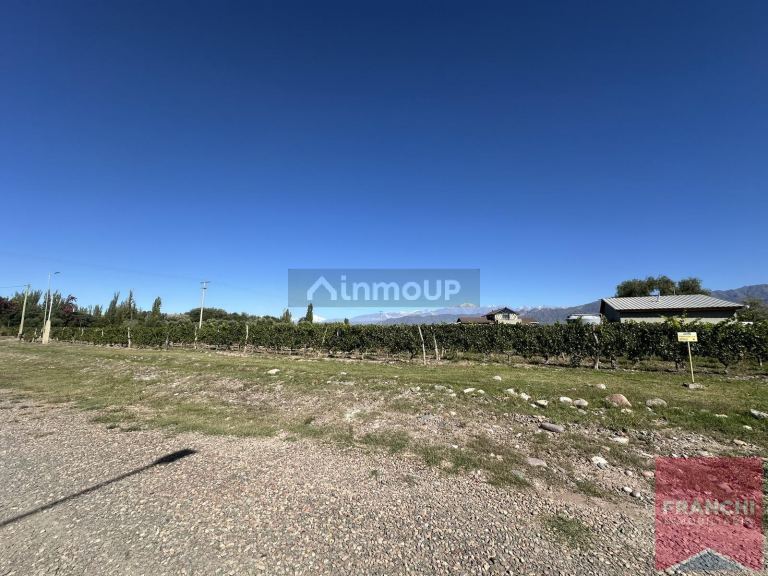 Terreno en Venta en Lujan de Cuyo, Mendoza