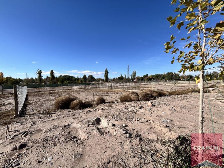 Terreno en Venta en Lujan de Cuyo, Mendoza