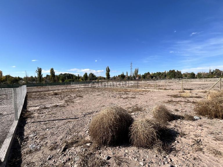 Terreno en Venta en Lujan de Cuyo, Mendoza