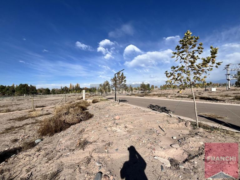 Terreno en Venta en Lujan de Cuyo, Mendoza