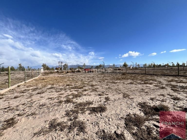 Terreno en Venta en Lujan de Cuyo, Mendoza