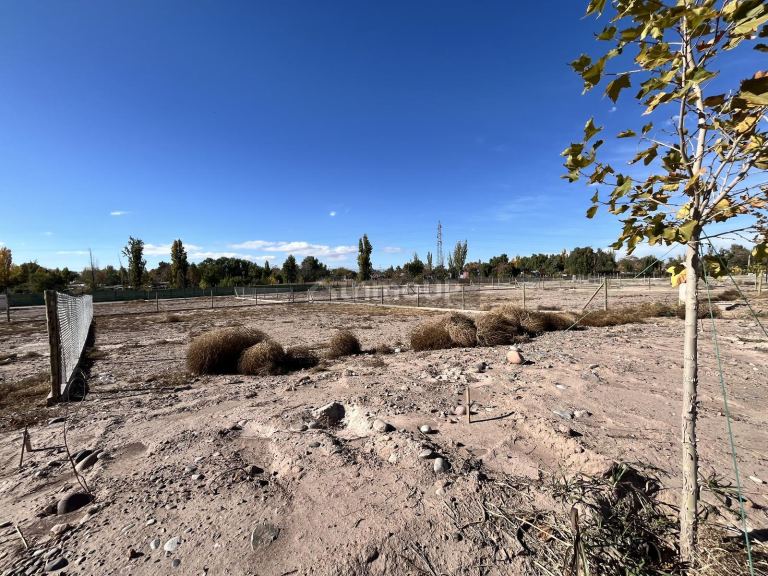 Terreno en Venta en Lujan de Cuyo, Mendoza