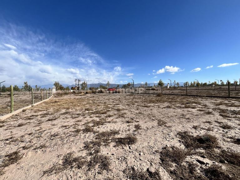 Terreno en Venta en Lujan de Cuyo, Mendoza