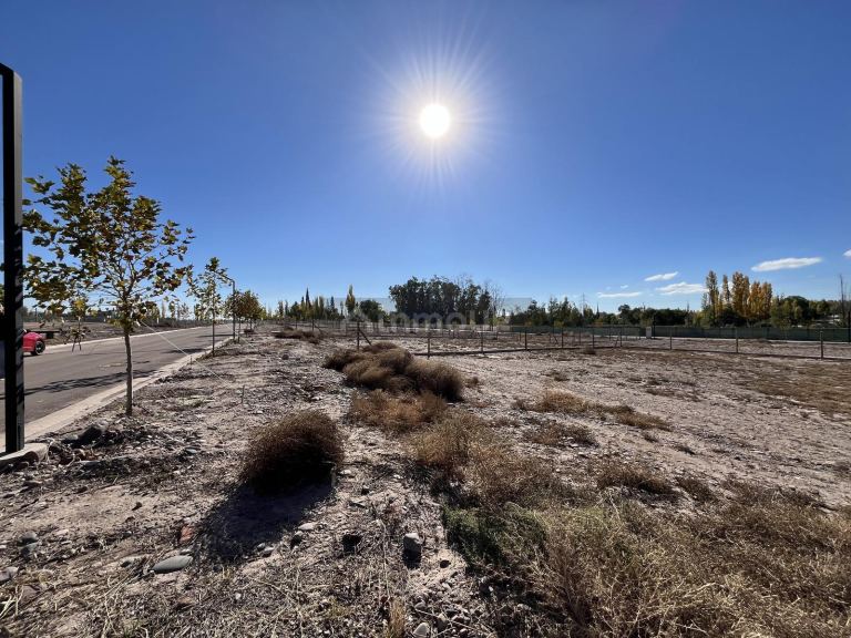 Terreno en Venta en Lujan de Cuyo, Mendoza
