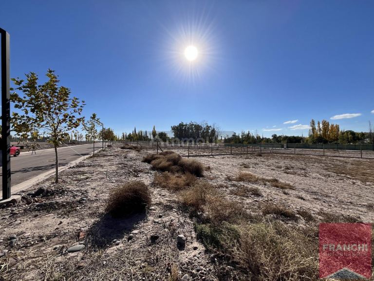 Terreno en Venta en Lujan de Cuyo, Mendoza