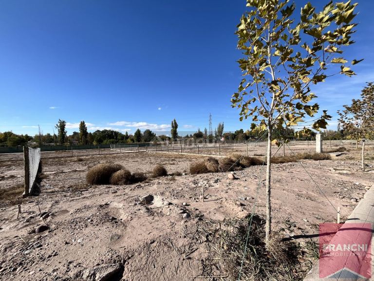 Terreno en Venta en Lujan de Cuyo, Mendoza