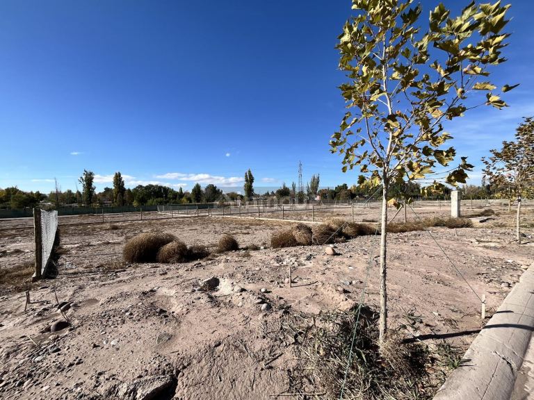 Terreno en Venta en Lujan de Cuyo, Mendoza