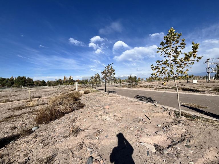 Terreno en Venta en Lujan de Cuyo, Mendoza