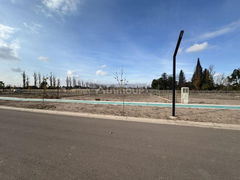 Terreno en Venta en Lujan de Cuyo, Mendoza - USD 62.000 | Inmoup - 8