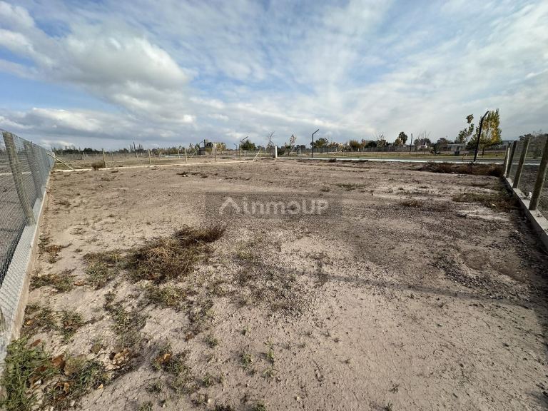 Terreno en Venta en Lujan de Cuyo, Mendoza - USD 62.000 | Inmoup - 10