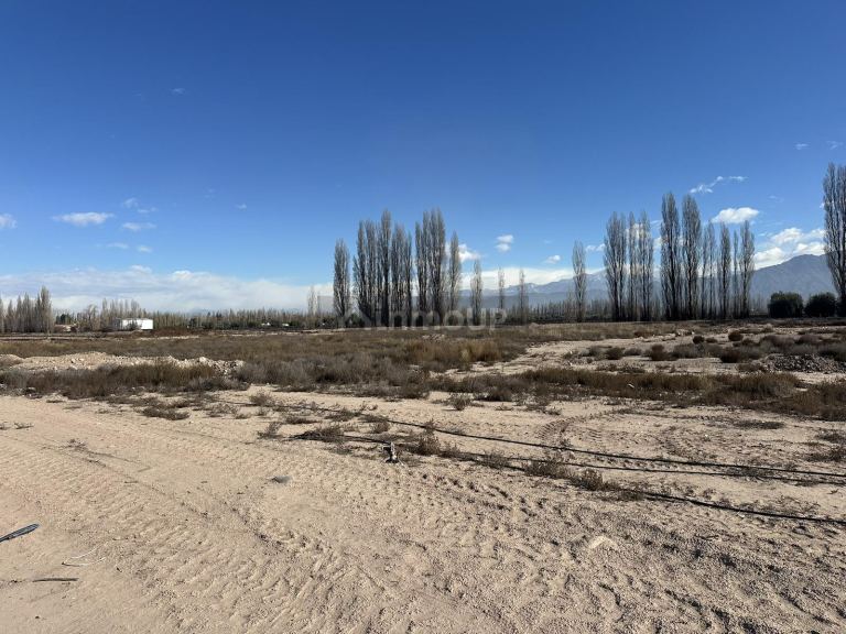 Terreno en Venta en Lujan de Cuyo, Mendoza - USD 55.000 | Inmoup - 12