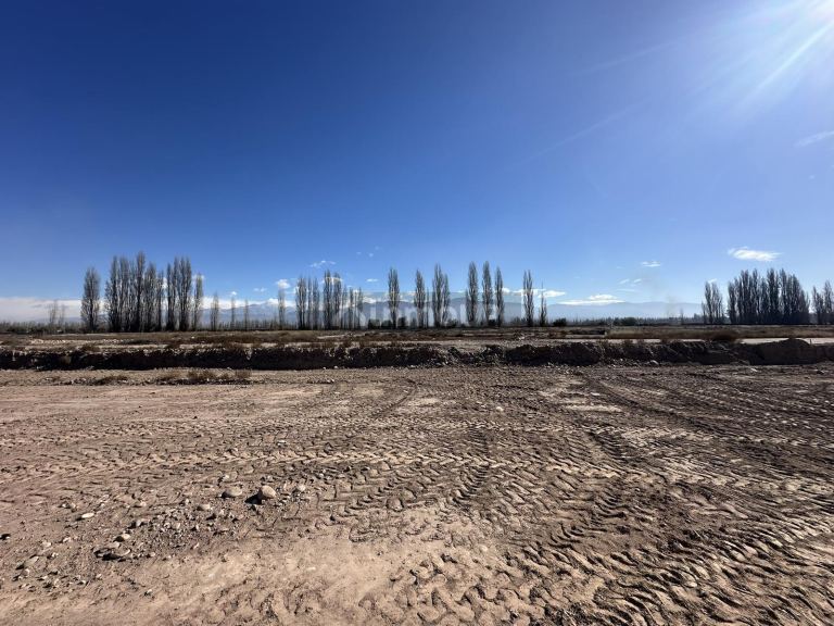 Terreno en Venta en Lujan de Cuyo, Mendoza - USD 55.000 | Inmoup - 8