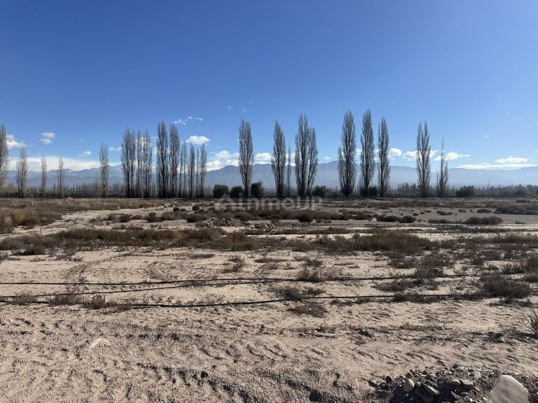 Terreno en Venta en Lujan de Cuyo, Mendoza - USD 55.000 | Inmoup - 11