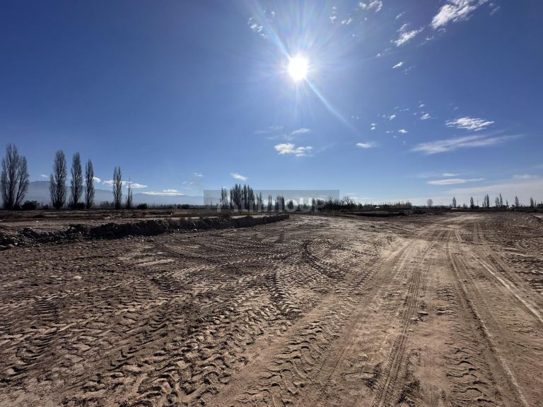 Terreno en Venta en Lujan de Cuyo, Mendoza - USD 55.000 | Inmoup - 7
