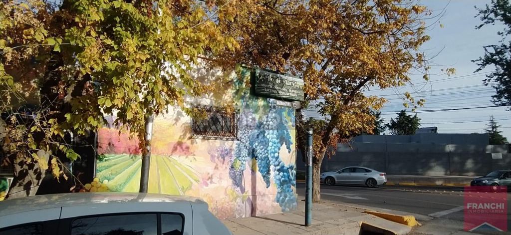 Lujan de Cuyo Besares al 1000