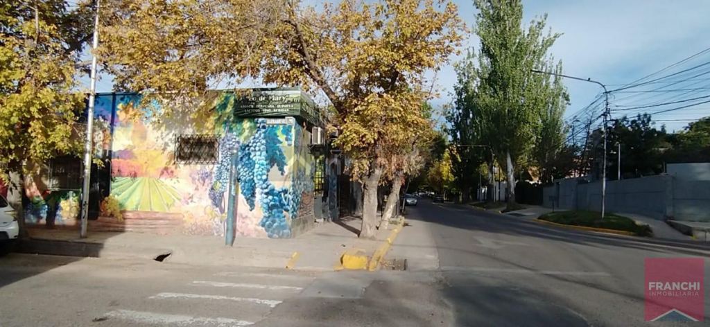 Lujan de Cuyo Besares al 1000