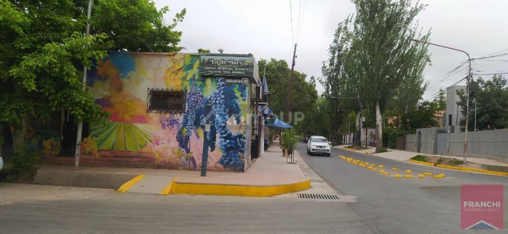 Lujan de Cuyo Besares al 1000