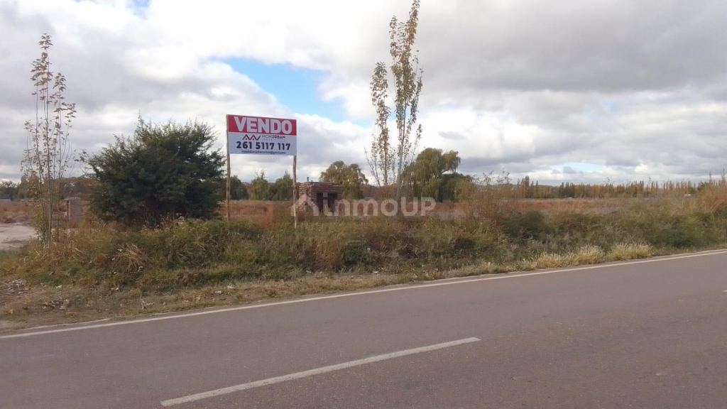 Terreno en Venta en Lujan de Cuyo, Mendoza