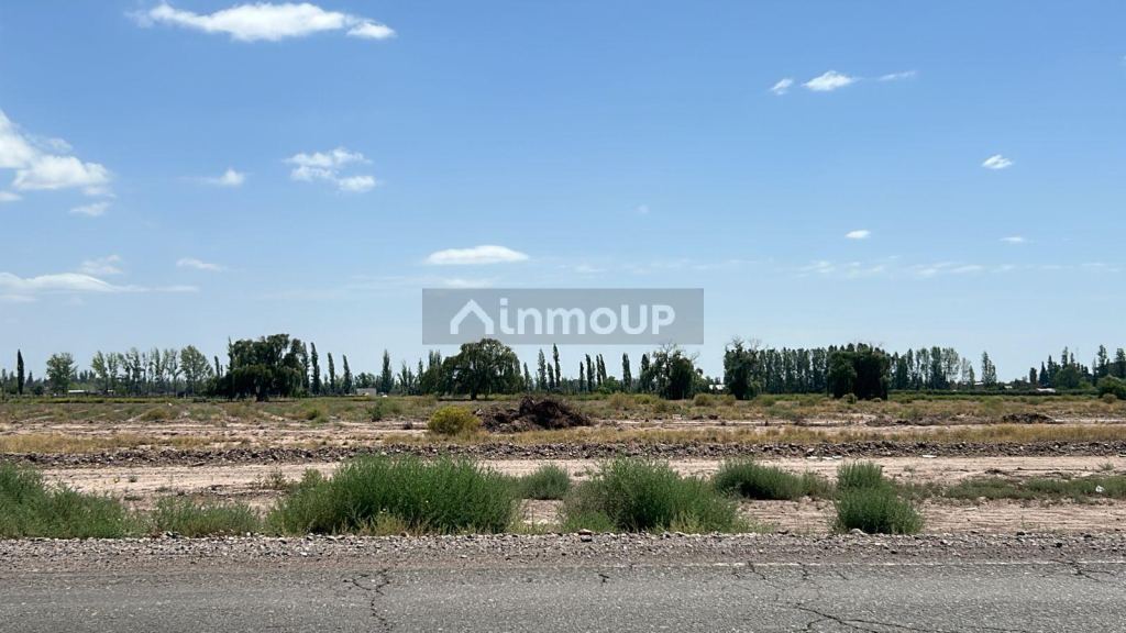 Terreno en Venta en Lujan de Cuyo, Mendoza
