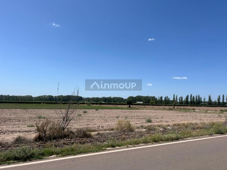 Terreno en Venta en Lujan de Cuyo, Mendoza