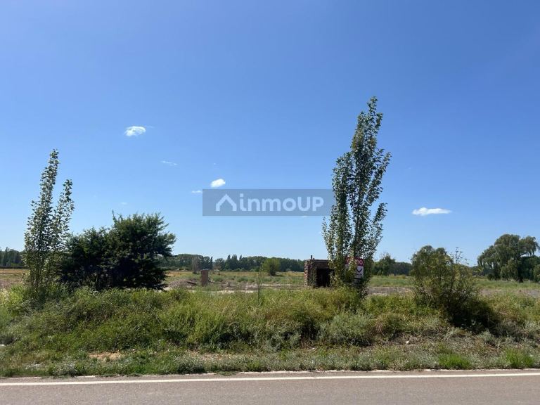 Terreno en Venta en Lujan de Cuyo, Mendoza