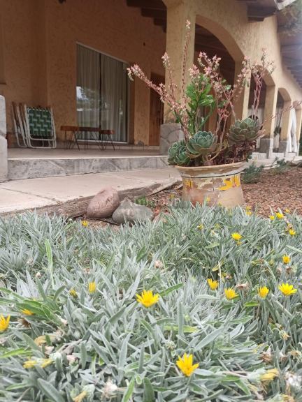 Casa en Alquiler en Lujan de Cuyo, Mendoza