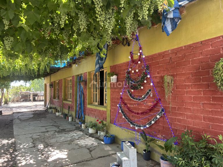 Finca en Venta en Maipu, Mendoza