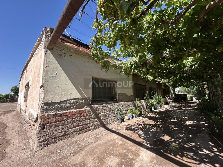 Finca en Venta en Maipu, Mendoza