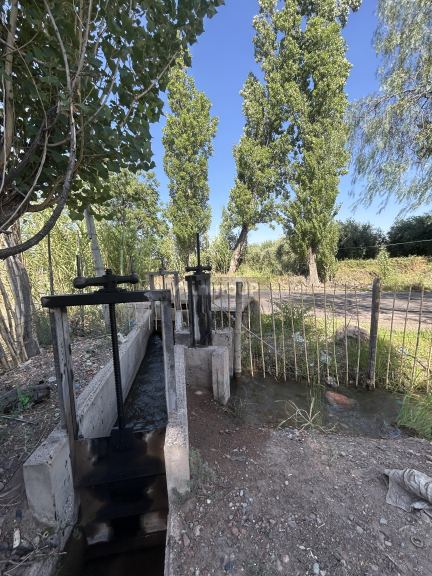 Finca en Venta en Maipu, Mendoza