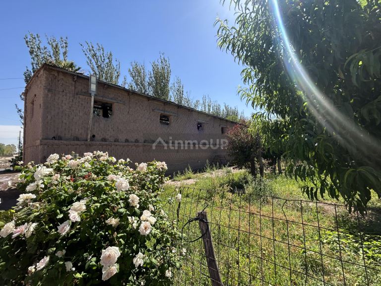 Finca en Venta en Maipu, Mendoza