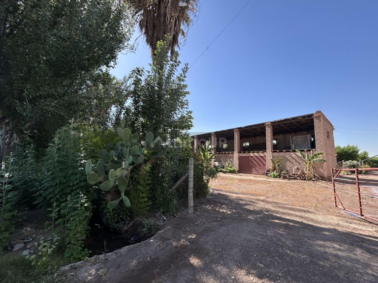 Finca en Venta en Maipu, Mendoza