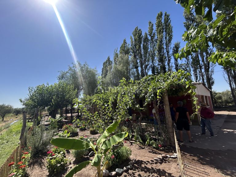 Finca en Venta en Maipu, Mendoza
