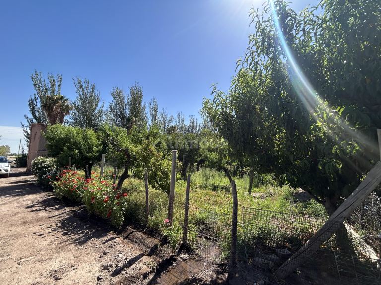 Finca en Venta en Maipu, Mendoza